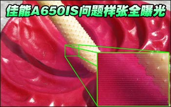 实拍!佳能A650 IS色斑问题系列样张对比