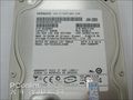 HGST(ԭ)Deskstar 7K1000.B 320G