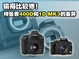 输得比较惨!从样张看400D和1D MK3实力的差异