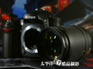 尼康D80精品图赏二