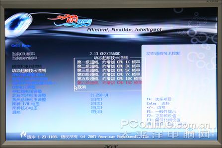 微星P35 EFINITY