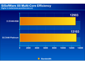 ΢X48 Platinum