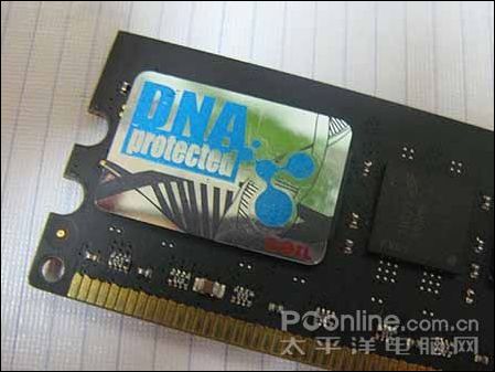 金邦1GB DDR2-1066(黑龙条)