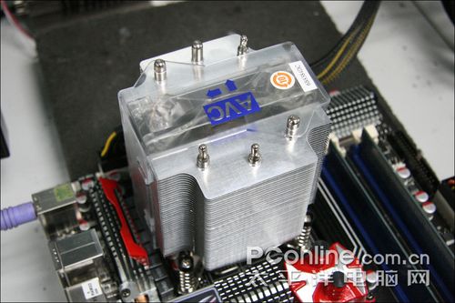 AVC 拿破仑透明版