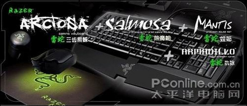 Razer 三齿熊蛛