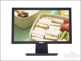 DELL E1609W