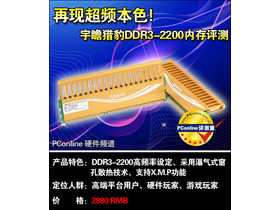 հ Ա 4GB DDR3 2200 ˫ͨ